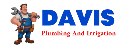 Trusted plumber in BINGHAM LAKE